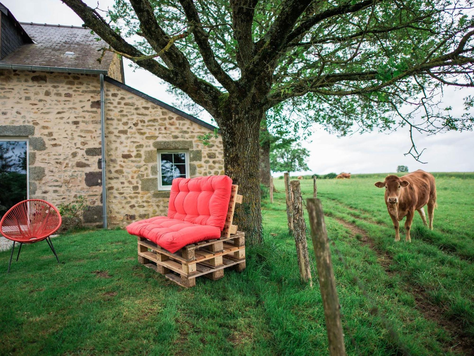 Gite De Charme Renove Avec Cheminee, Terrasse Et Proche Randonnees - Capacite 13 Pers. - Fr-1-410-179 Saint-Léonard-des-Bois Buitenkant foto